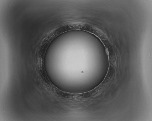 X0000116141061200911231306
