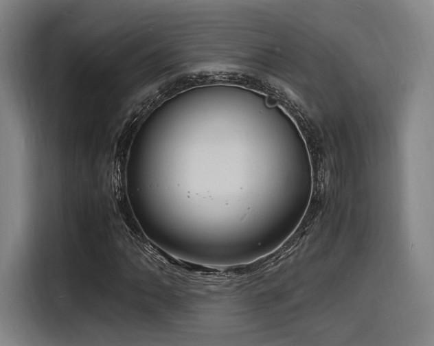 X0000116141062200911231306