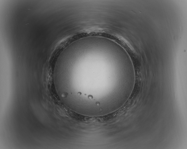 X0000116141063200911231306