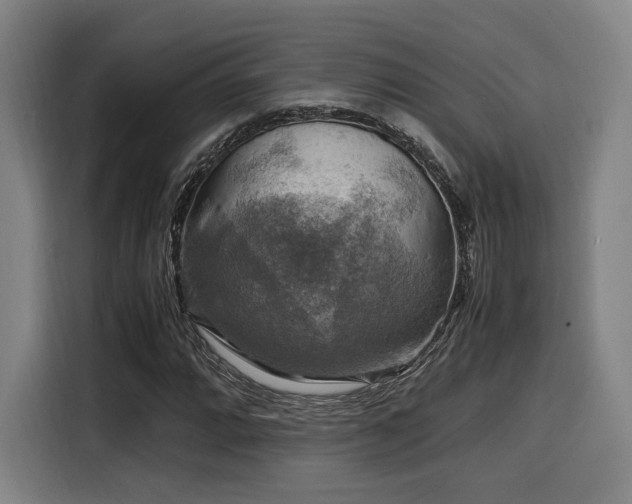 X0000116141064200911231306