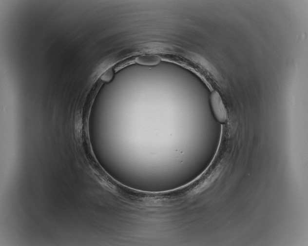 X0000116141065200911231306