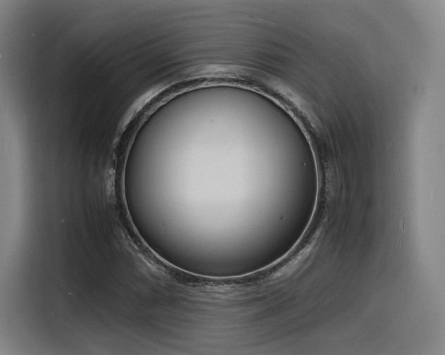 X0000116141066200911231306