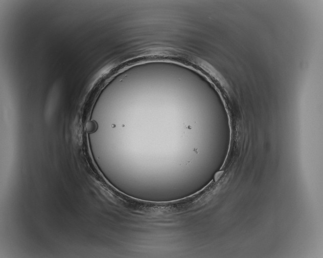 X0000116141067200911231306