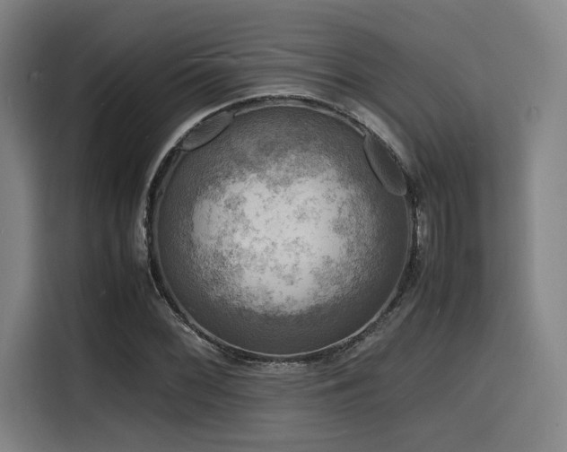 X0000116141068200911231306