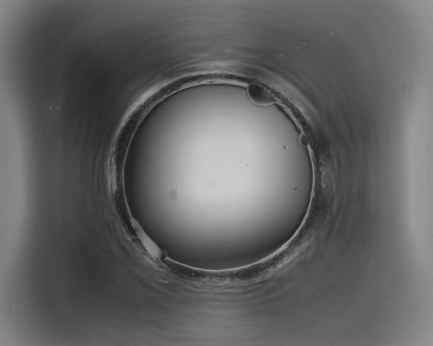X0000116141069200911231306
