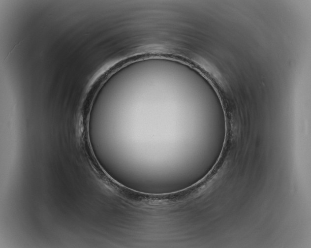 X0000116141070200911231306