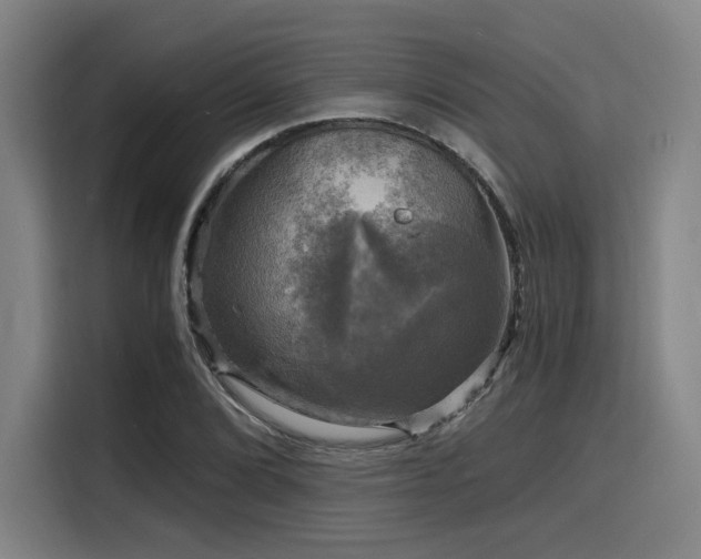 X0000116141072200911231306