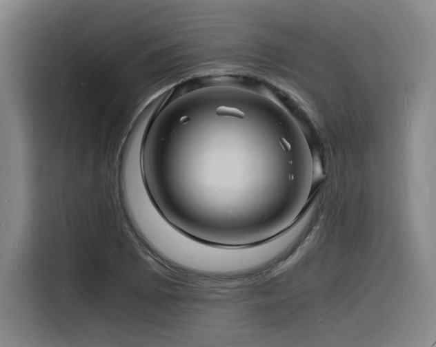 X0000116141073200911231306