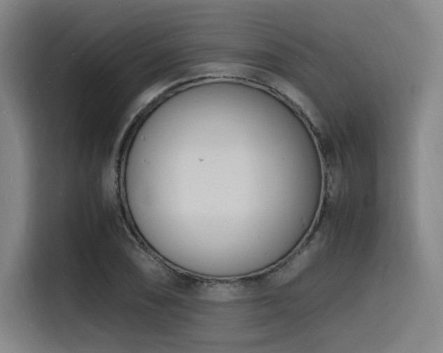 X0000116141074200911231306