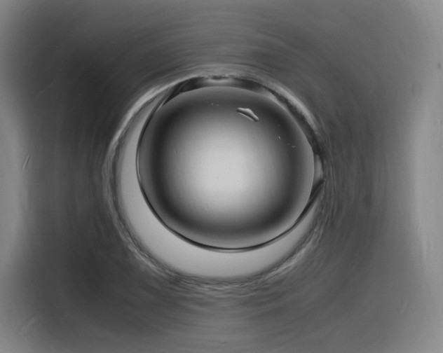 X0000116141075200911231306