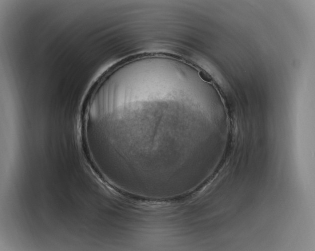 X0000116141076200911231306