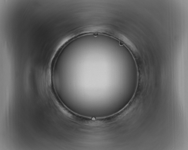 X0000116141079200911231306