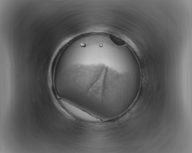 X0000116141080200911231306