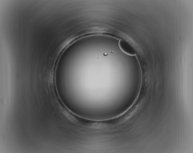 X0000116141081200911231306