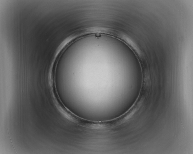 X0000116141082200911231306