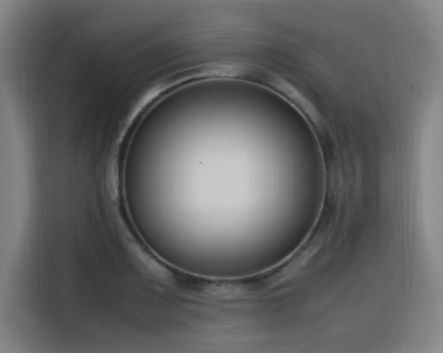 X0000116141083200911231306