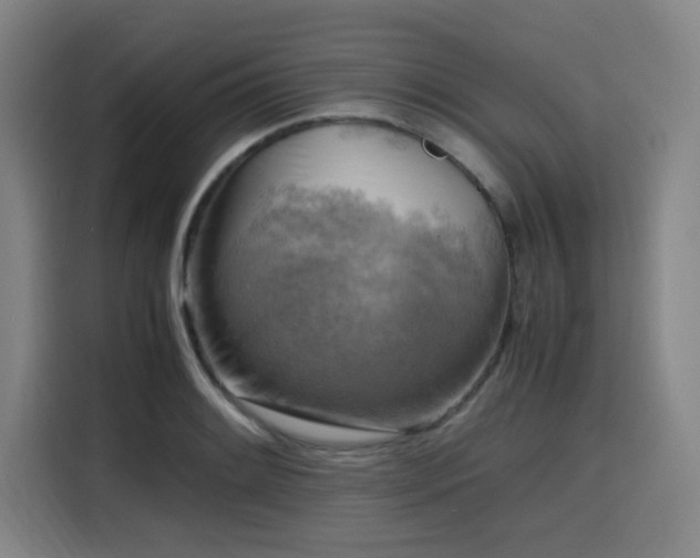 X0000116141084200911231306