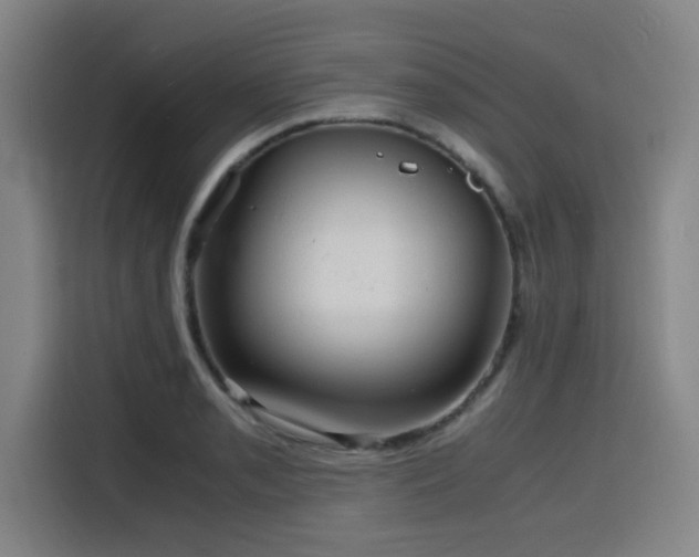 X0000116141085200911231306