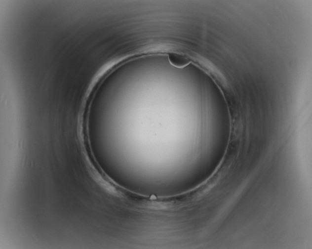 X0000116141086200911231306