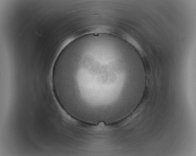 X0000116141087200911231306