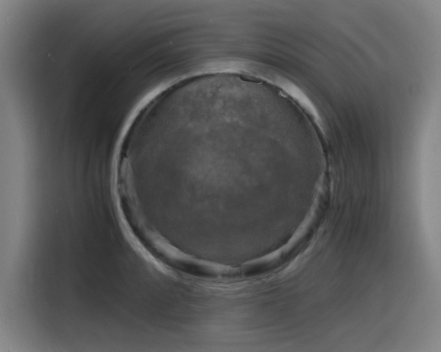 X0000116141088200911231306