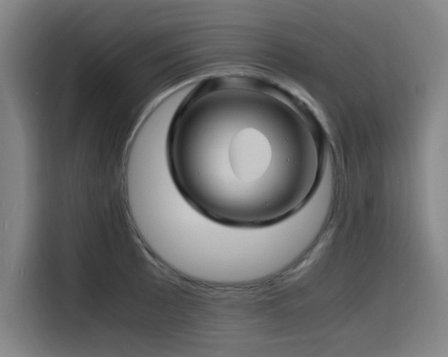 X0000116141089200911231306