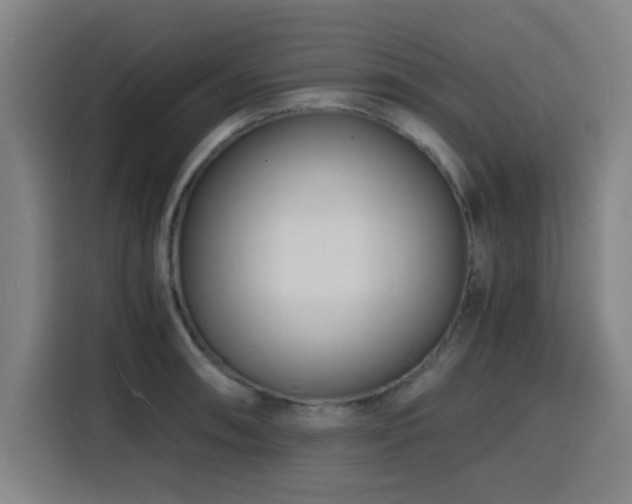 X0000116141090200911231306