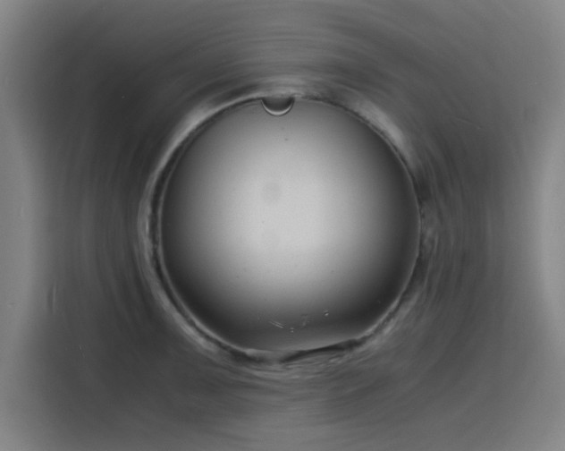 X0000116141091200911231306