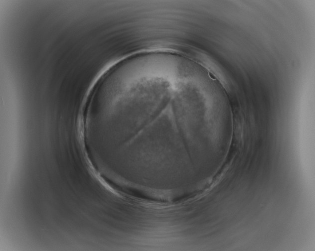 X0000116141092200911231306