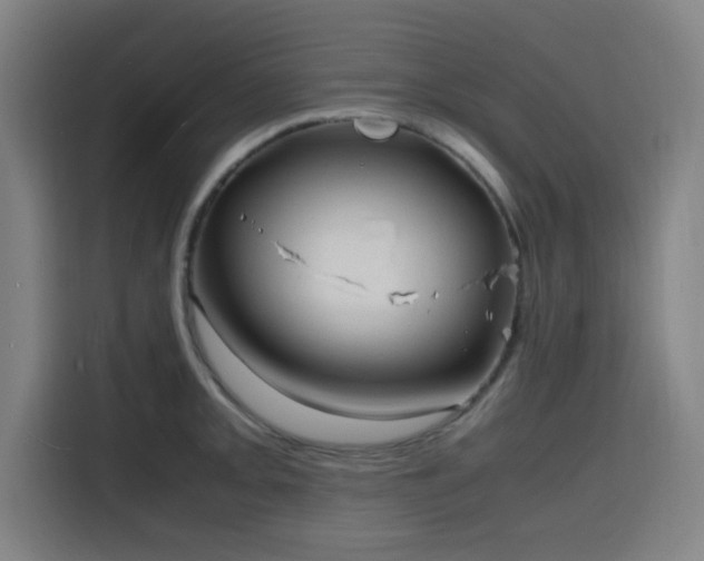X0000116141093200911231306