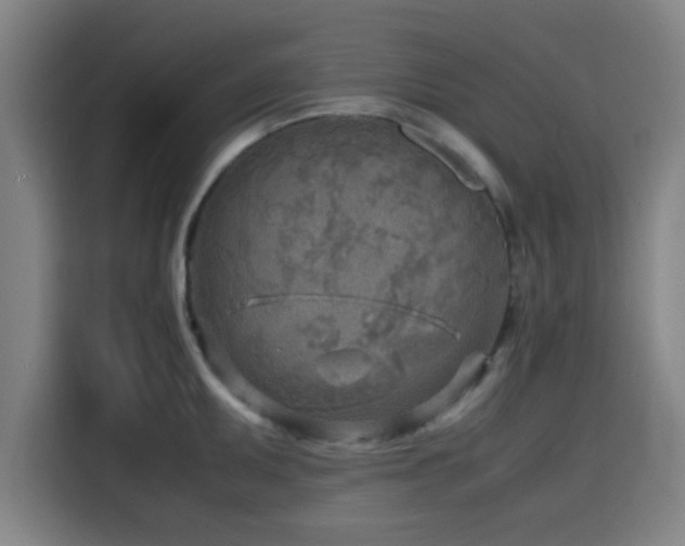 X0000116141095200911231306
