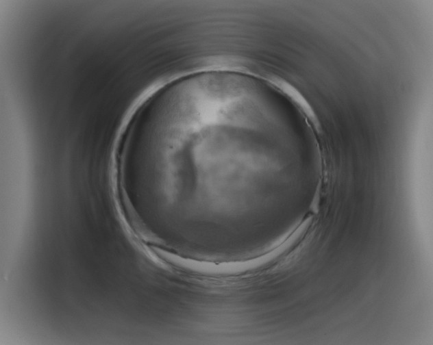 X0000116141096200911231306