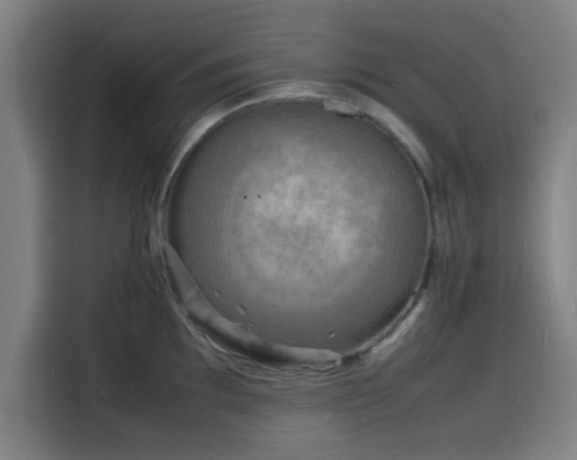 X0000116141097200911231306