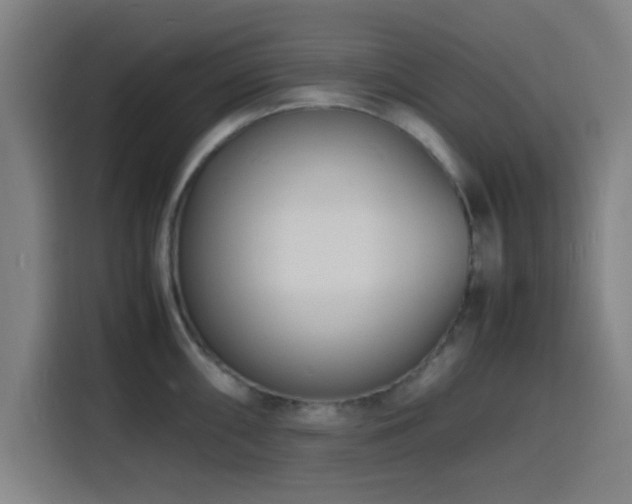 X0000116141098200911231306