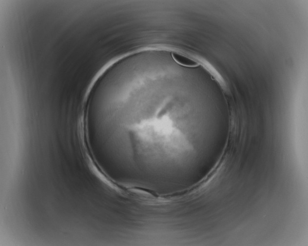 X0000116141100200911231306