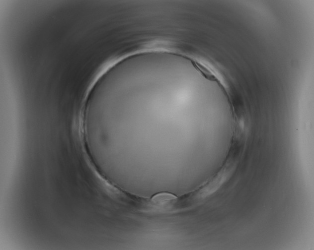 X0000116141101200911231306