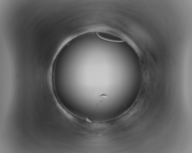 X0000116141103200911231306