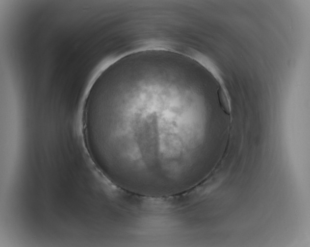 X0000116141104200911231306