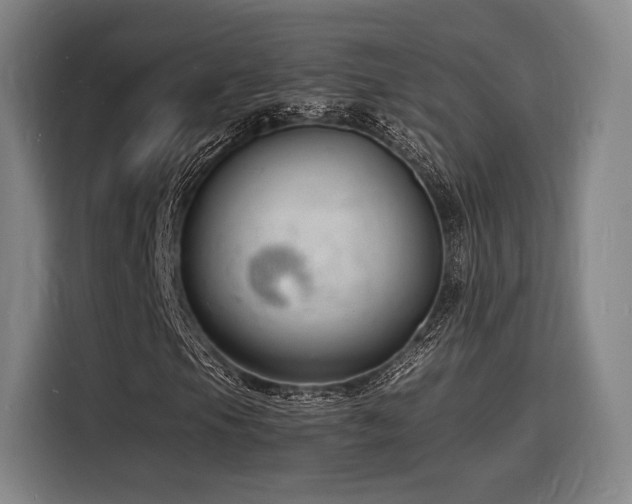 X0000116141105200911231305