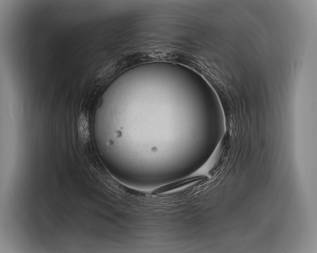 X0000116141106200911231305