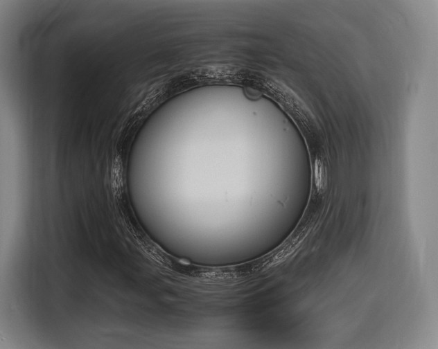 X0000116141107200911231305