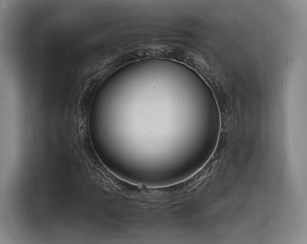 X0000116141109200911231305