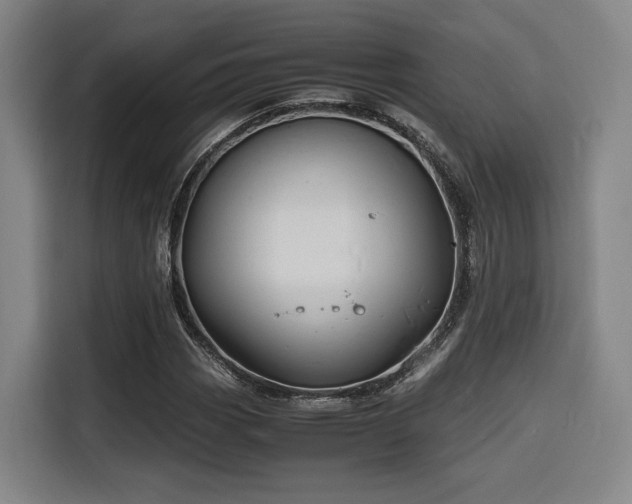 X0000116141113200911231305