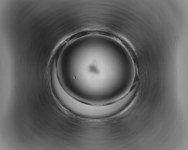 X0000116141114200911231305