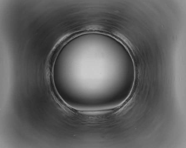 X0000116141115200911231305