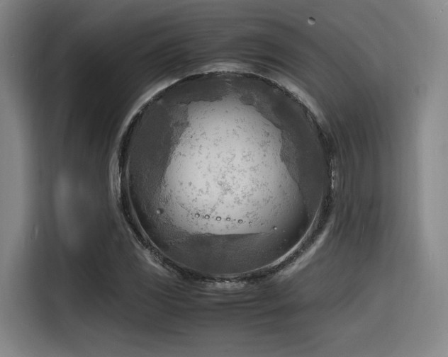 X0000116141117200911231305