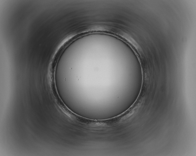 X0000116141119200911231305