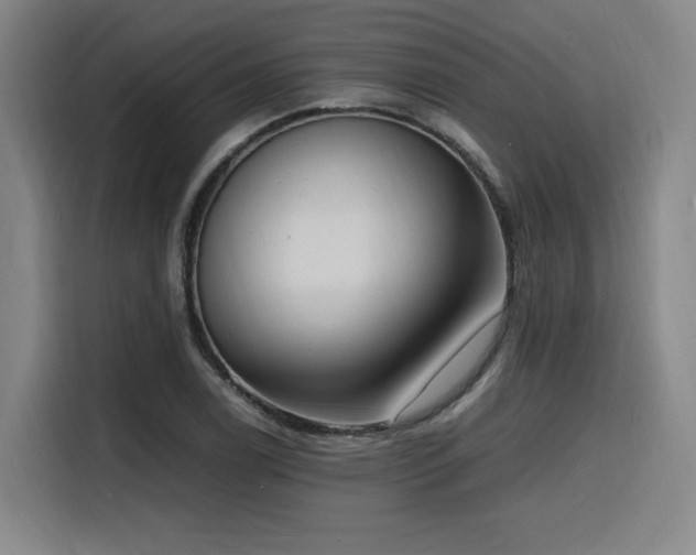 X0000116141122200911231305
