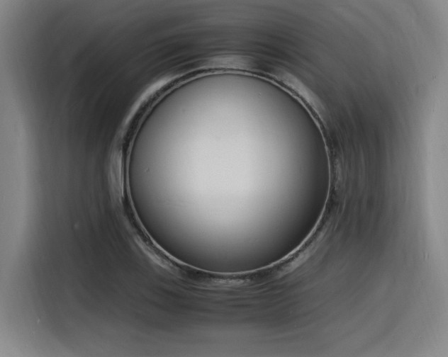 X0000116141123200911231305