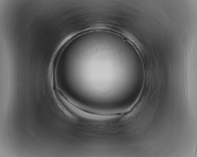 X0000116141127200911231305